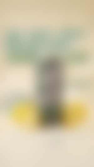 Lifestyle routine ad, blurred for confidentiality